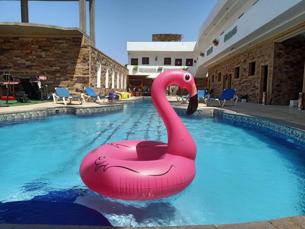 Carmine Hotel דהב מראה חיצוני תמונה